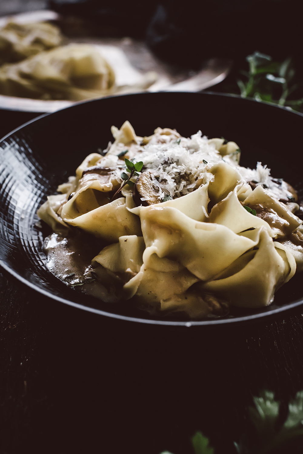 Pappardelle with Mushroom Stroganoff