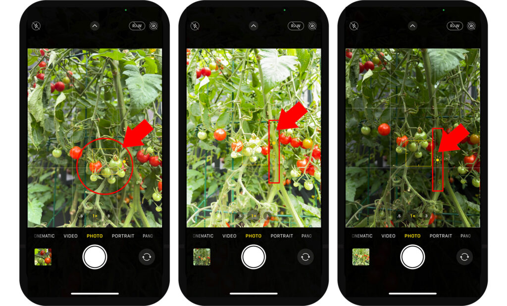 iPhone photography tips
