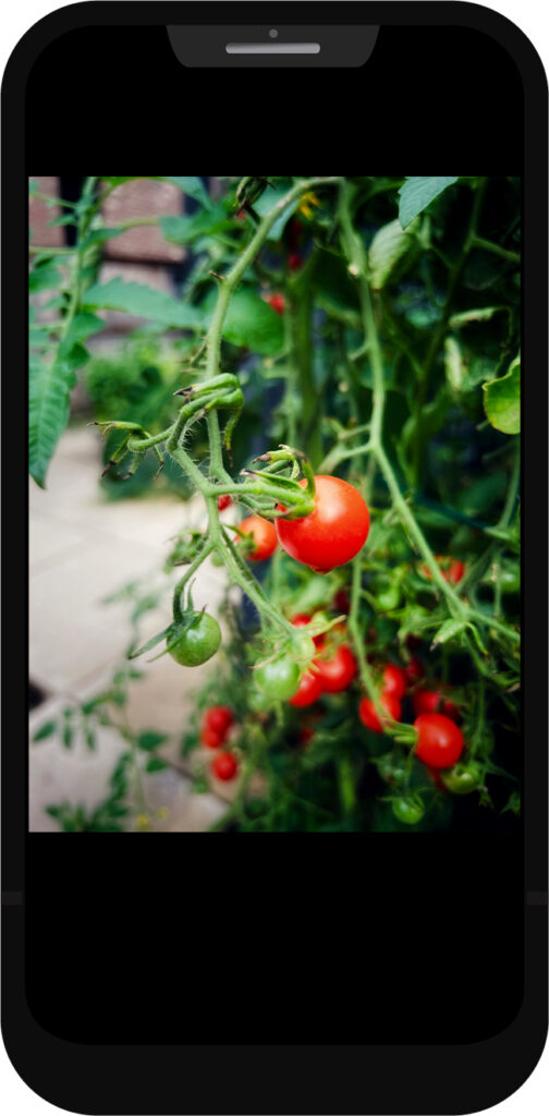iPhone photography tips