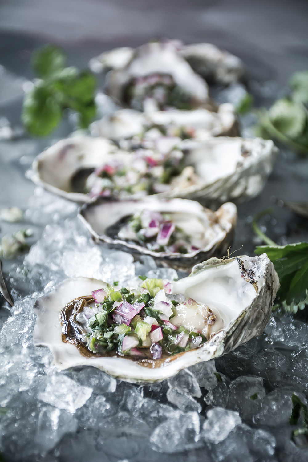 Oysters with Serrano-Cilantro-Lime Mignonette