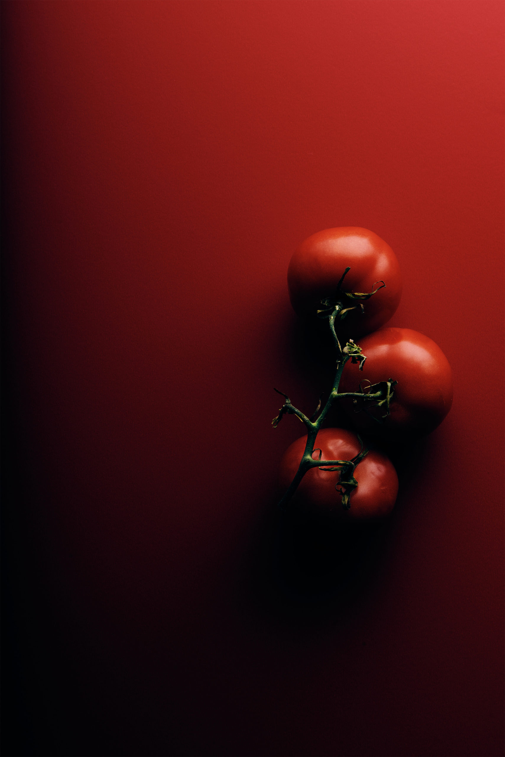 tomatoes on a red board