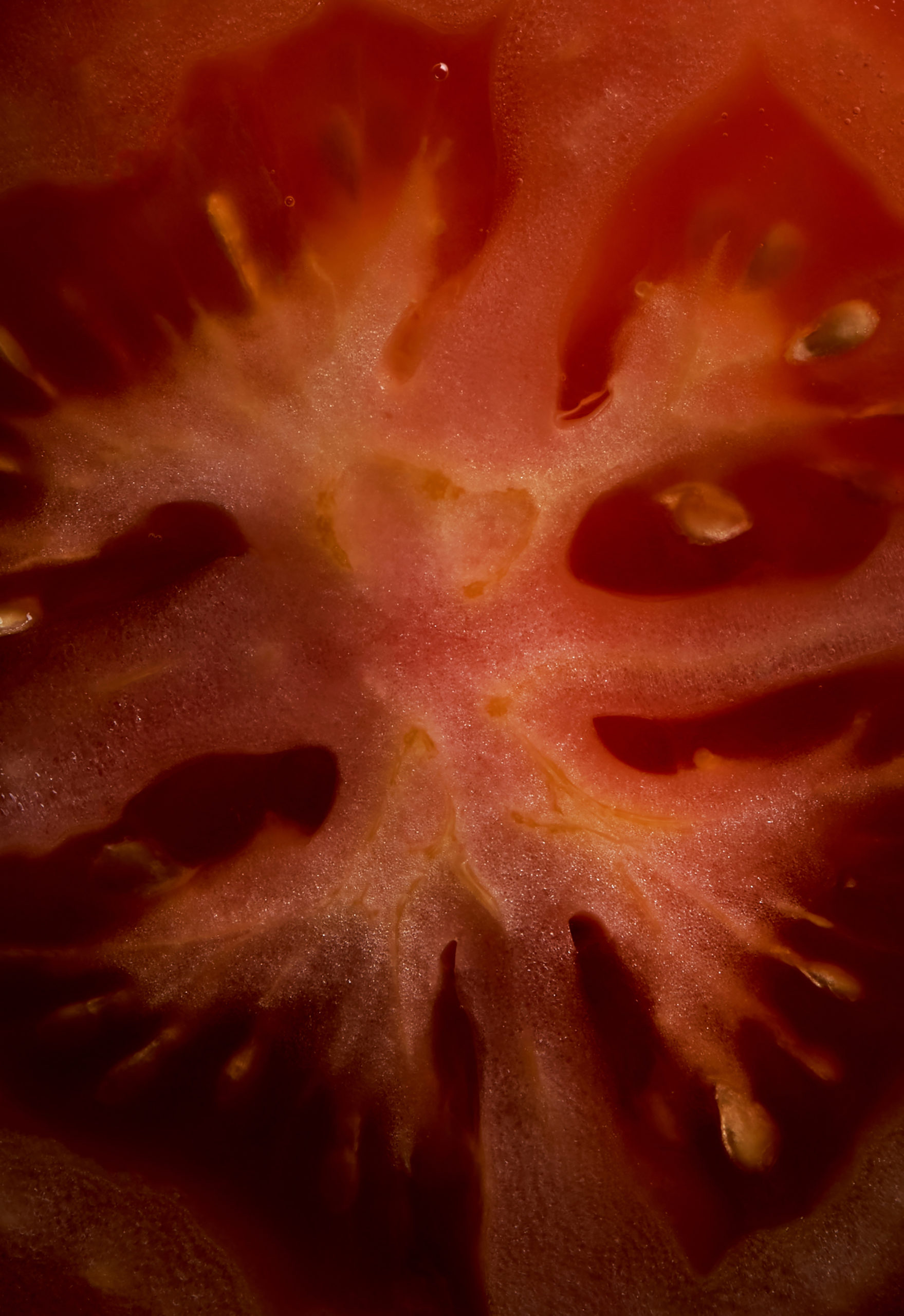 Macro image of a tomato
