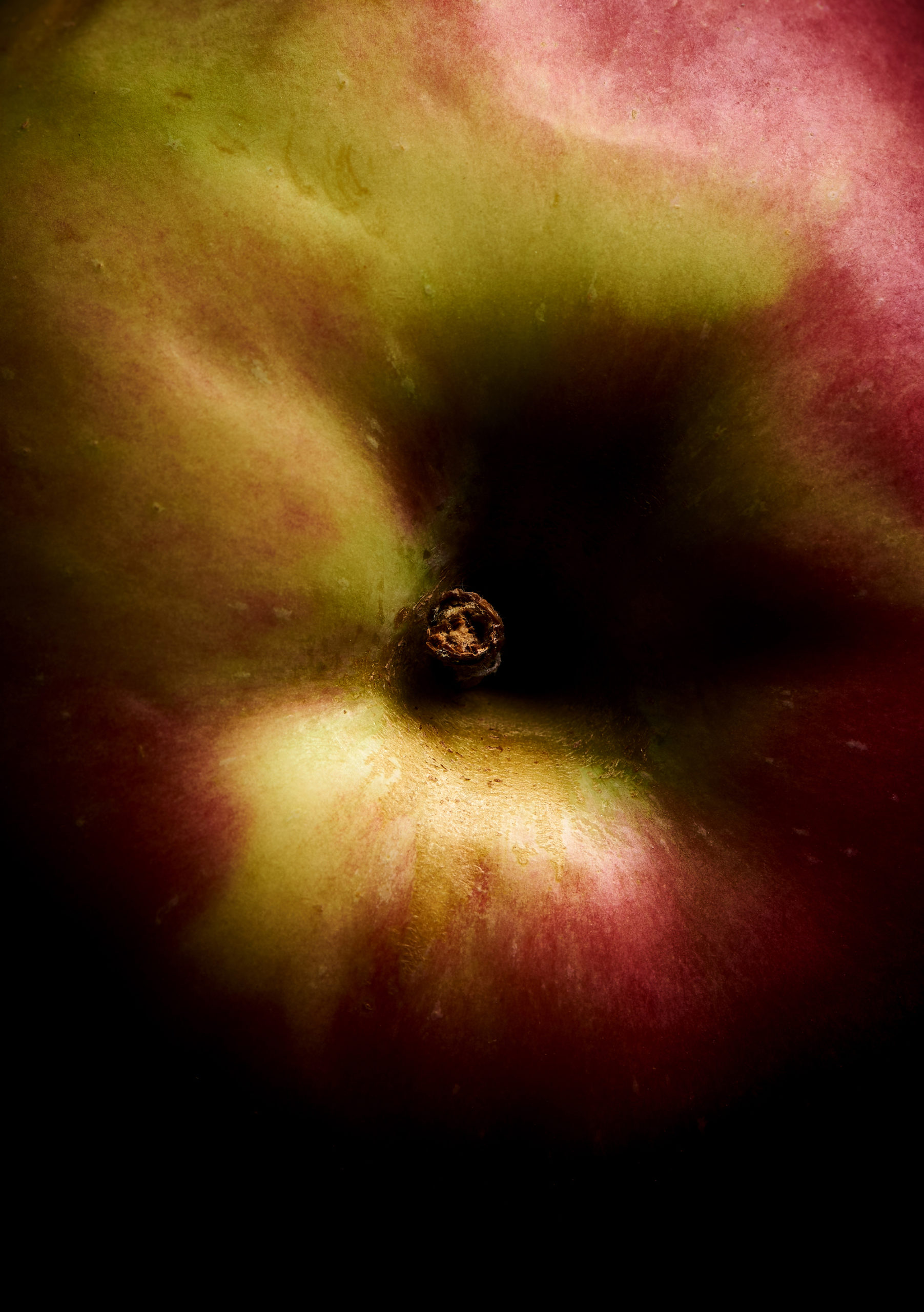 Macro image of an apple