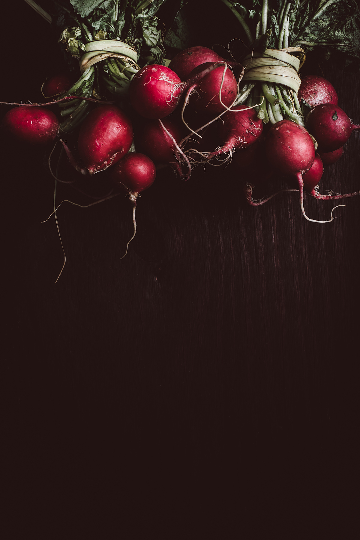 regan baroni photography