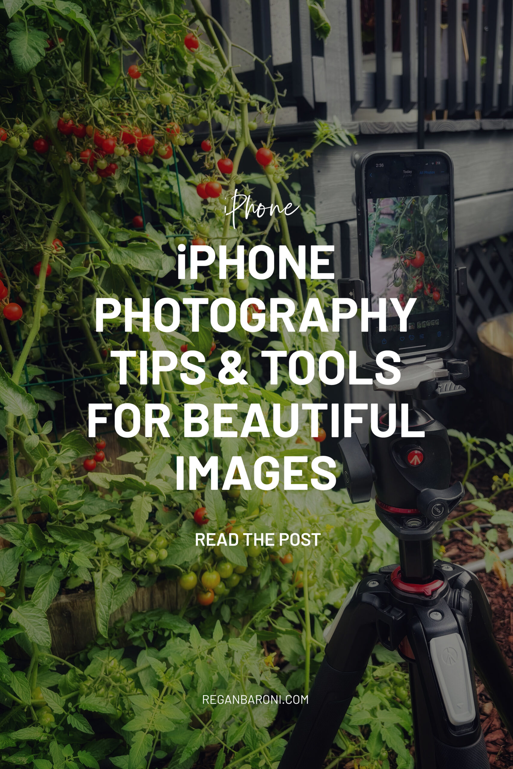 iPhone photography tips