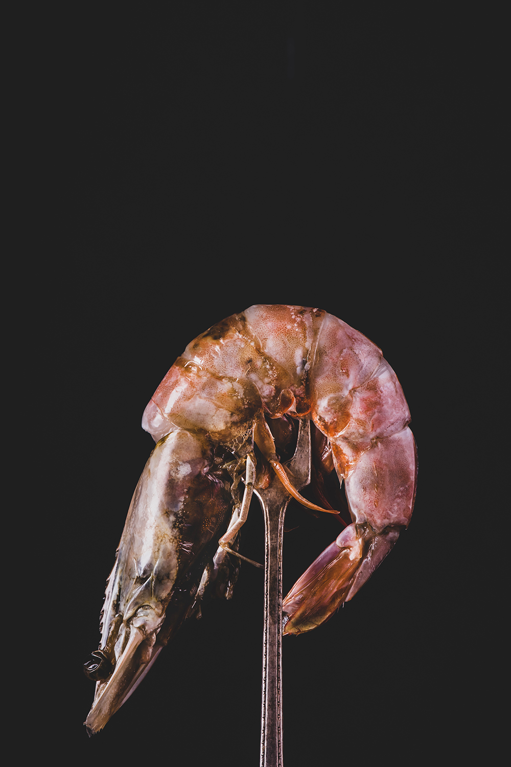 shrimp on a seafood fork