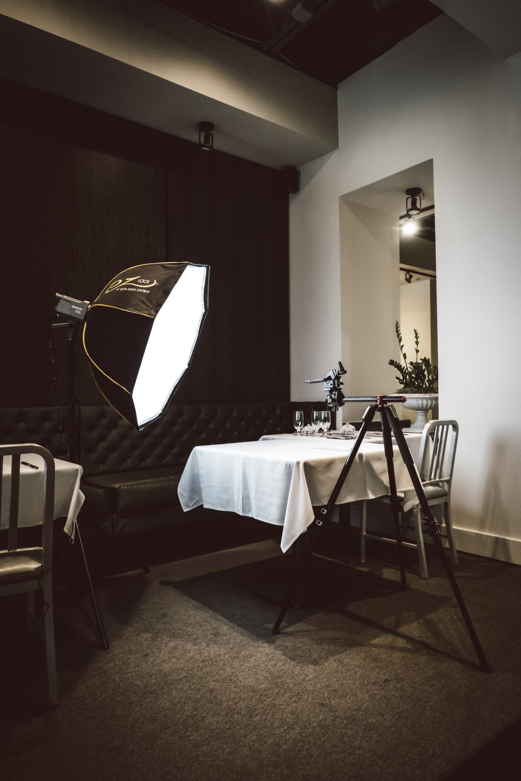 What is a Softbox Used For in Photography & Lighting Tips