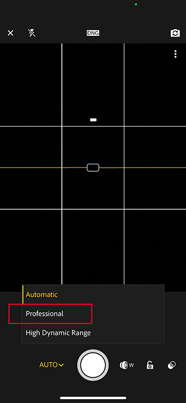 Download Lightroom Mobile from the App Store
