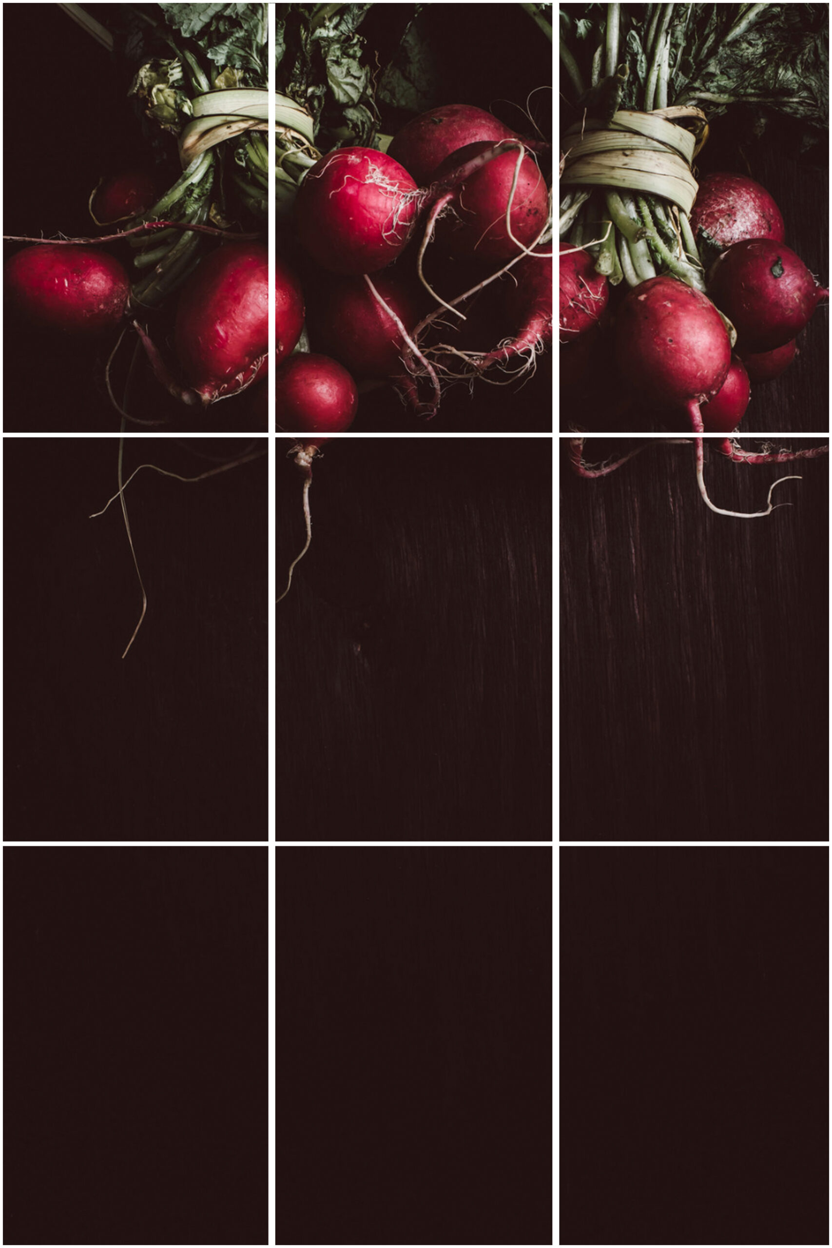 what is rule of thirds grid